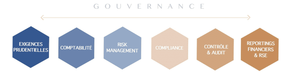 diagramme_gouvernance